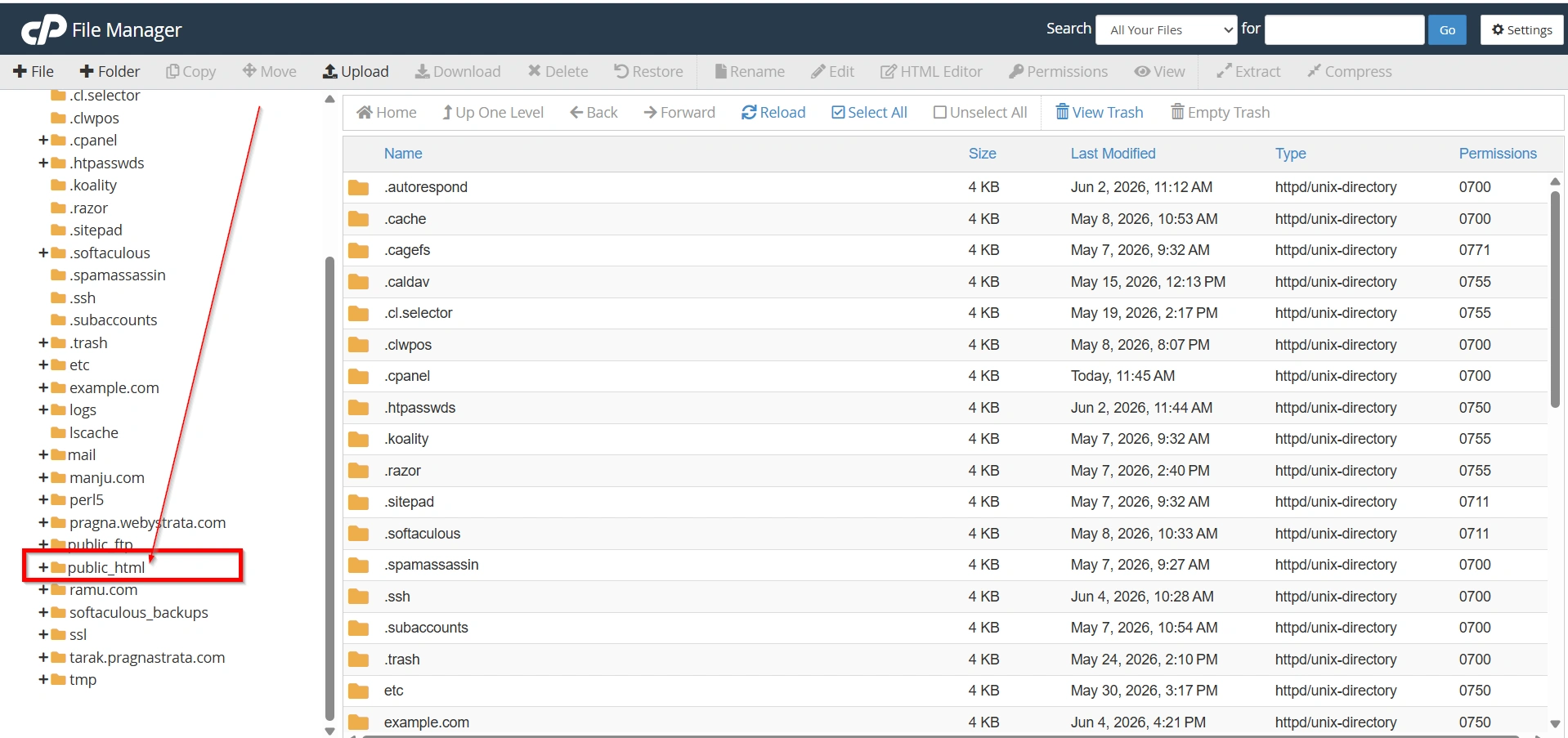 how-to-create-a-custom-wordpress-404-error-page
